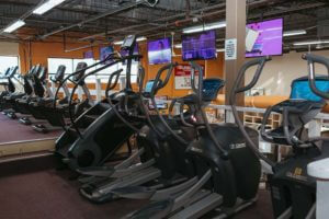 Fitness Zone equipment 6