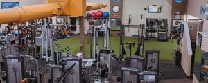 Gym Equipment